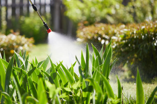 24/7 Emergency Wasp Removal experts in Luling, LA